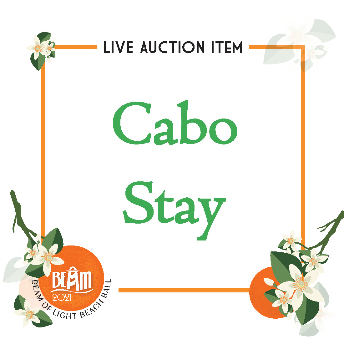 LiveAuctionButton - Cabo Stay.jpg